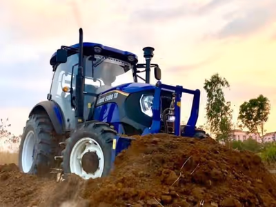 ภาพแกลลอรี่ 4